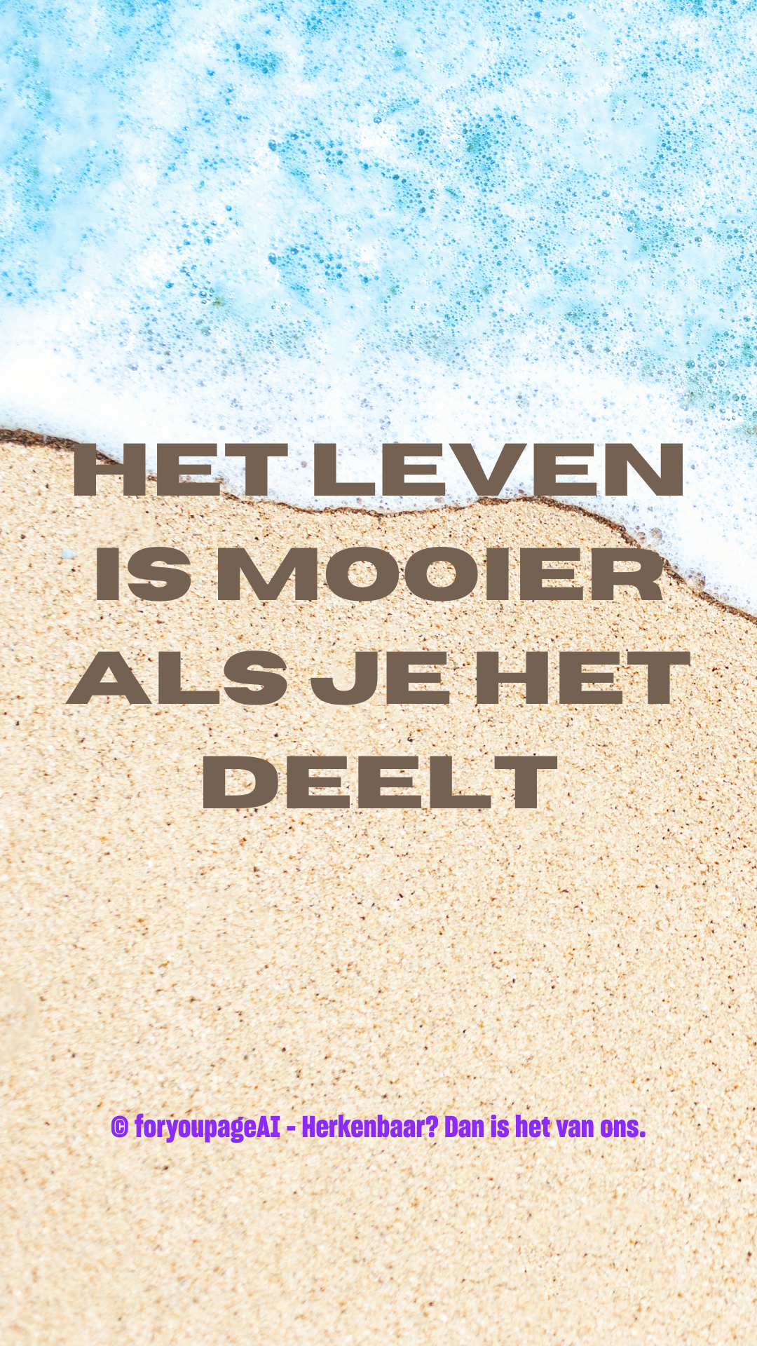 Afbeelding 7